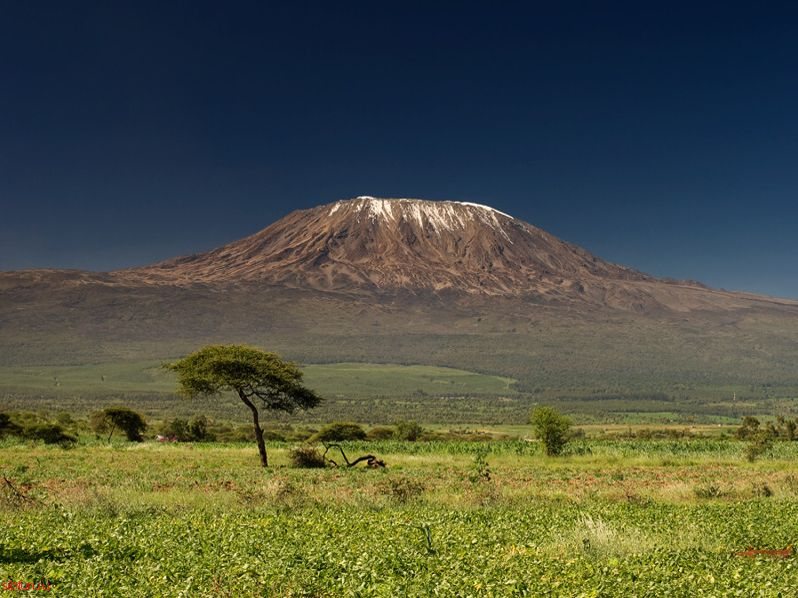 Хочу на Килиманджаро!
