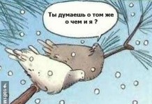 Коварный замысел