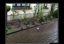 Демотивационные приколы, наслаждайтесь