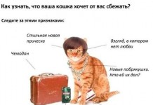 Улыбательные комиксы