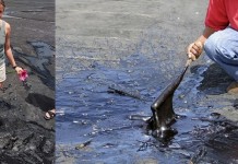 Необычное асфальтовое озеро Пич-Лейк