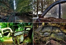 Кладбище автомобилей в Бельгии