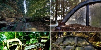 Кладбище автомобилей в Бельгии