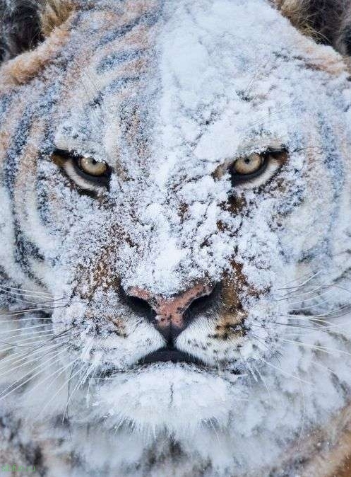 Классная подборка фотографий