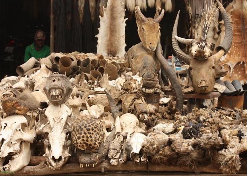 Akodessewa Fetish Market или африканский вуду-супермаркет