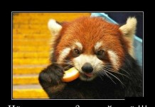 Отличная демотивация