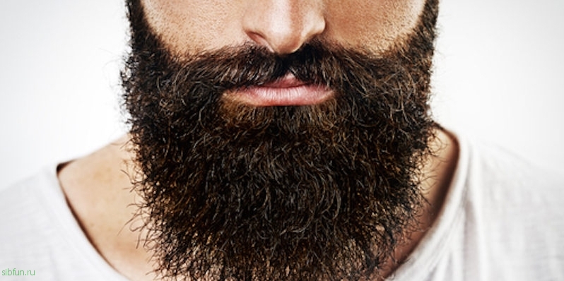 Статистика говорит, что бородатые мужчины чаще лгут, манипулируют и воруют