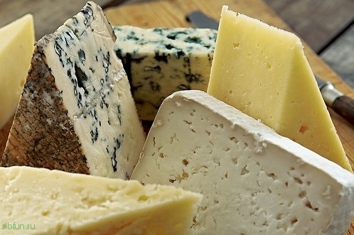 Сыр вызывает наркотическое привыкание. Даже ученые в шоке! 