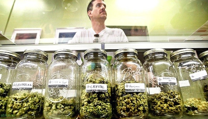 6 безумных мифов, разрушенных легализацией марихуаны в Колорадо