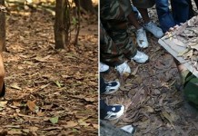 Тоннели Ку-Чи во Вьетнаме – почувствуй себя партизаном!