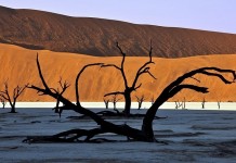 Пустыня Намиб