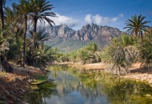 Уникальный остров Сокотра