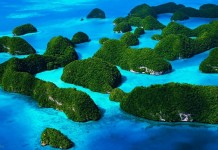 Фотопутешествие по уникальному архипелагу Палау