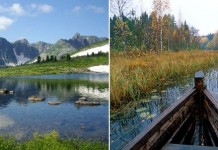 Волонтёрские программы в заповедниках России