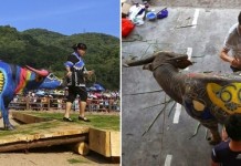 Боди-арт на буйволах в Китае