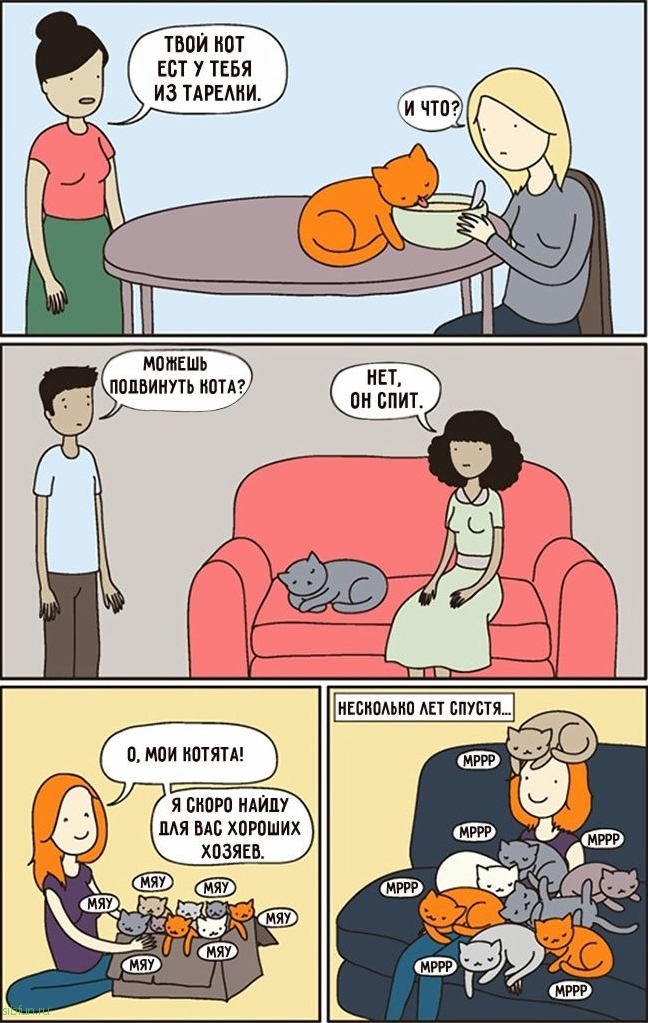 15 смешных комиксов для тех, у кого есть кот
