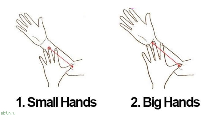 Размер вашей руки может многое рассказать о вашей личности