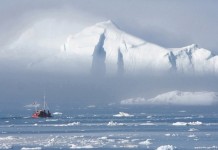 Чем отличается Антарктида от Антарктики и Арктики