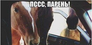 Автомобильный юмор