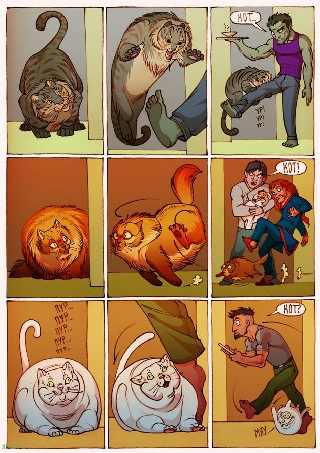 15 смешных комиксов для тех, у кого есть кот