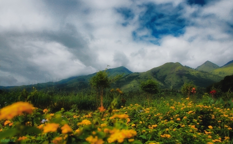 Фотопутешествие по долине цветов (Индия)