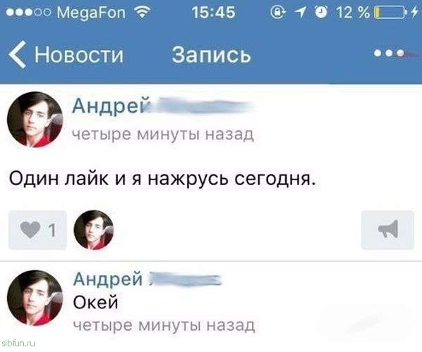 Юмористичные снимки