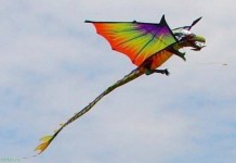 Первые летательные аппараты