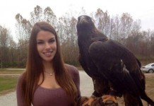 Прикольные картинки ))) # 24.11.2015