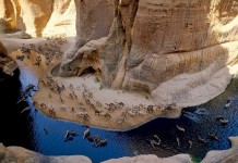 Guelta d’Archei — экологическое чудо Сахары