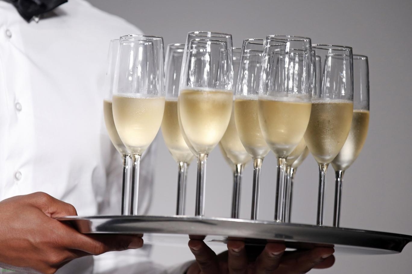 Почему ценители шампанского умнее всех и не впадают в маразм на старости
