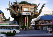 Ресторан на дереве, Окинава, Япония