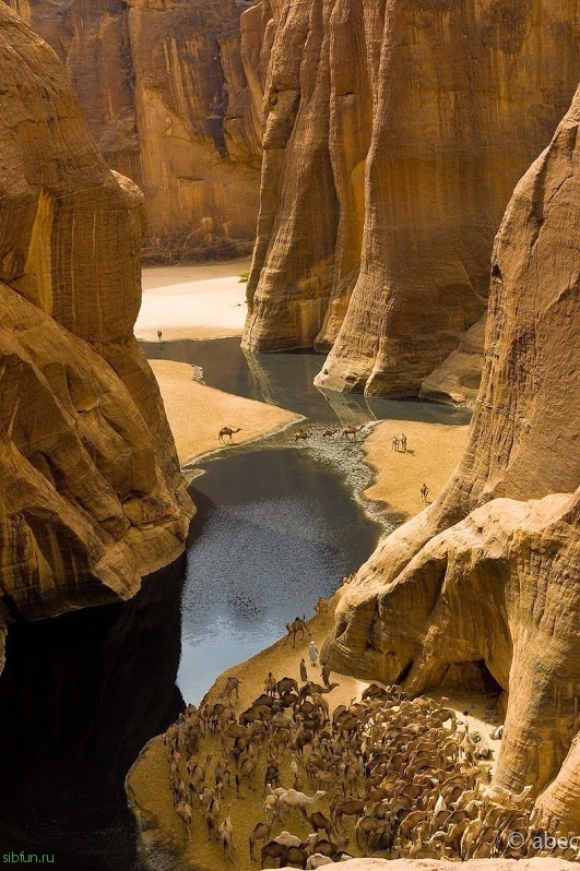 Guelta d'Archei - экологическое чудо Сахары