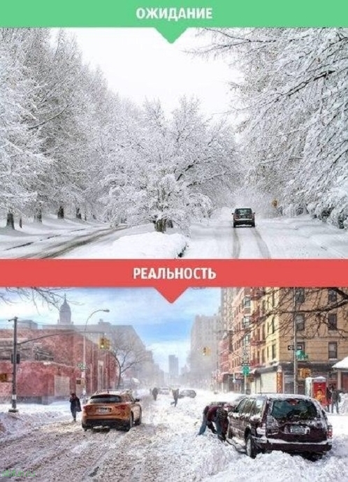 Зима: ожидания и реальность