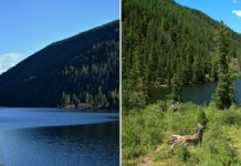 Мёртвое озеро Чейбек-Кол на Алтае