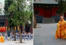 Шаолинь: какая она сегодня, родина ушу?