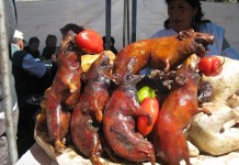 Самая необычная и самая странная еда в мире