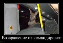 Классная демотивация