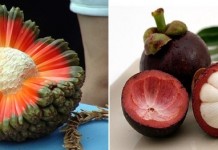 Самые экзотические фрукты со всего мира