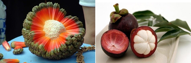 Самые экзотические фрукты со всего мира