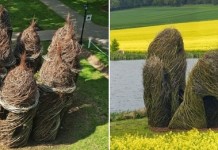 Необычные скульптуры из саженцев от Патрика Догерти