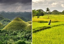 «Шоколадное» чудо Филиппин