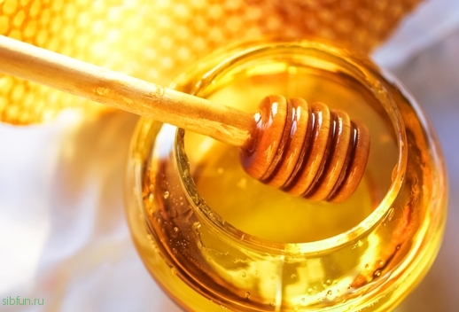 Почему мед до сих пор остается лучшим антибиотиком