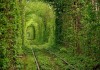 Топ-4 самых красивых «живых» тоннелей из деревьев