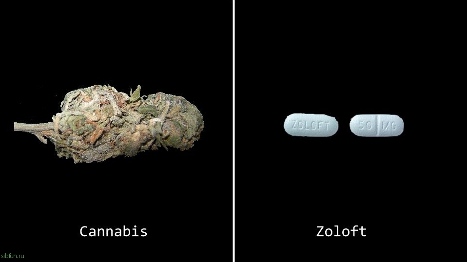 5 серьезных лекарств, которые может заменить марихуана