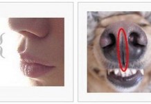 Интересные факты