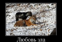 15 демотиваторов дня от 2 декабря