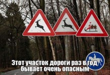 Пятничные фото приколы