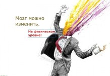 Эти 5 фактов о мозге изменят вашу жизнь