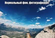 Веселые картинки