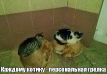 Прикольные картинки ))) # 09.12.2015